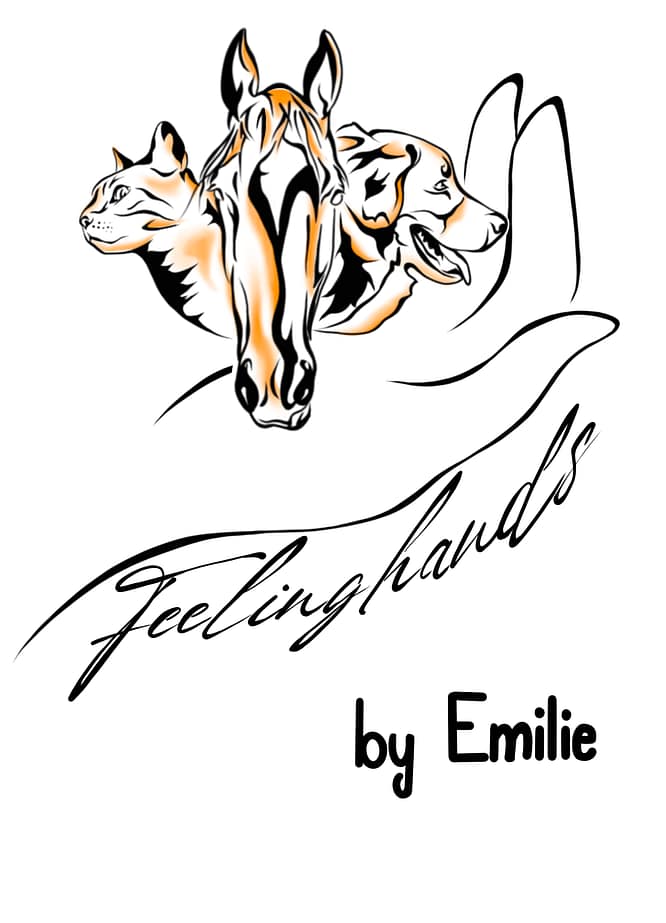 Feelinghands by Emilie Logo